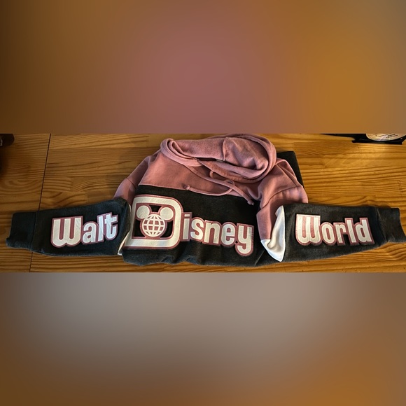Genuine Walt Disney World Parks Pink, Gray & White Pullover Hoodie Size Medium - Picture 3 of 13